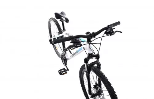 Capriolo OXYGEN 29"/16" hegyi kerékpár, fehér