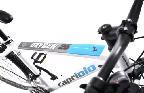 Capriolo OXYGEN 29"/16" hegyi kerékpár, fehér