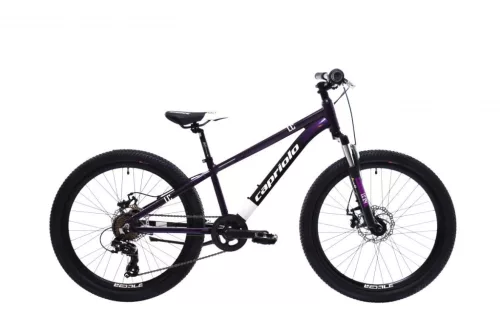 Capriolo MTB LC 24"/AL hegyi kerékpár, lila kék