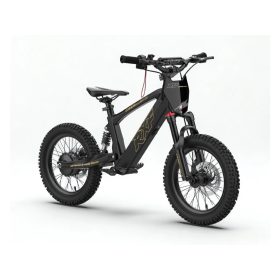   Energy Adventure Push 16 Pro Racing elektromos gyermekmotorkerékpár