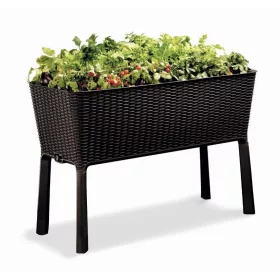   Keter Easy grow műrattan virágláda (magaságyás) - whiskey barna