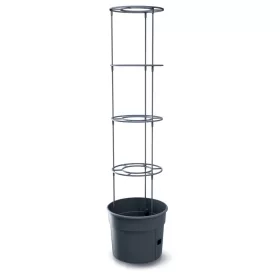   Prosperplast TOMATO GROWER kaspó paradicsom termesztésre 39,2 cm antracit