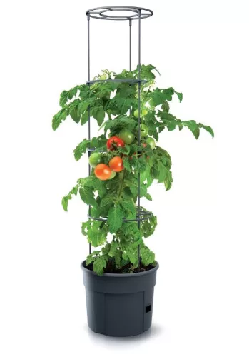 Prosperplast TOMATO GROWER kaspó paradicsom termesztésre 39,2 cm antracit