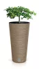 Virágcserép Prosperplast FURU SLIM ECO WOOD 30 cm, naturo