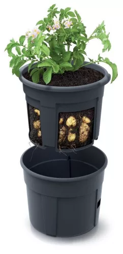 Prosperplast burgonyatermesztő edény burgonya termesztésére 39,2 cm antracit