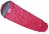 Acra MUMMY1 210 x 80/55 cm Schlafsack, Mumienform
