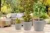 G21 Cement Round virágcserép 44 x 44 x 39,5