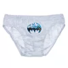 Detské spodné prádlo Batman Fear the Bat, spodné prádlo 3 kusy/balenie 3 - 6 rokov / 98 - 116 cm