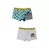 Detské boxerky Batman Robin 2 kusy/balenie 3 - 8 rokov / 98 - 128 cm