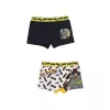 Detské boxerky Batman Robin 2 kusy/balenie 3 - 8 rokov / 98 - 128 cm