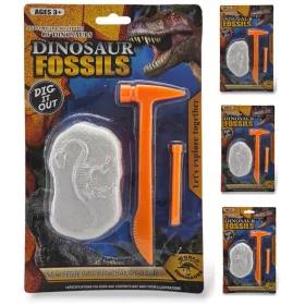 Fosilă de dinozaur 9x6cm
