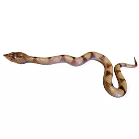 Barna gumikígyó 60cm