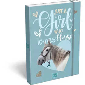 Kutija za bilježnice A5 Mickey Horses