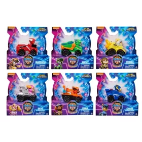  Mașinuțe mini Spin Master Patrula Cățelușilor cu figurină