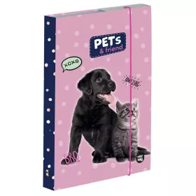 Broschürenbox A5 Hund und Katze