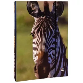 Brožúra A4 Zebra