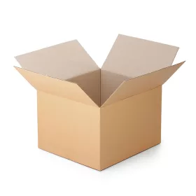 Dreilagiger Karton mit Klappdeckel, 300 x 200 x 100 mm