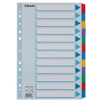   Regiszter, laminált karton, A4, 12 részes, ESSELTE "Mylar"