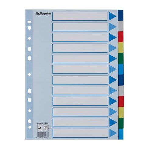 Regiszter, műanyag, A4, 12 részes, ESSELTE