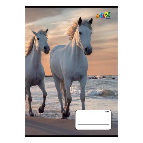Füzet, tűzött, A5, vonalas, 32 lap, 3. osztály, COOL BY VICTORIA, "Horses", "12-32"