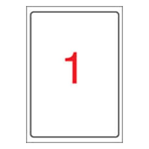 Etikett, tintasugaras nyomtatóhoz, 199,6 x 289,1 mm, fényes, fotóminőségű, APLI, 10 etikett/csomag