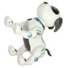 RC robot kutya ugrik sétál