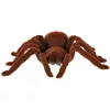 Távirányítású TARANTULA pók + PILOT