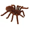 Távirányítású TARANTULA pók + PILOT