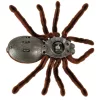 Távirányítású TARANTULA pók + PILOT