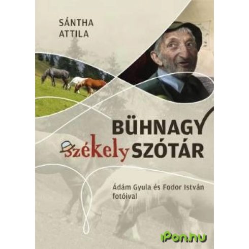 Sántha Attila - Bühnagy székely szótár