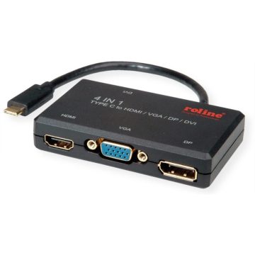 ROLINE Type C - VGA / DVI / HDMI / DP Adapter