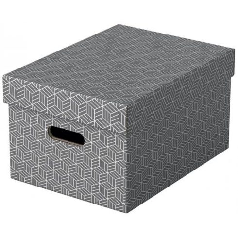 ESSELTE Home Tárolódoboz M méret szürke