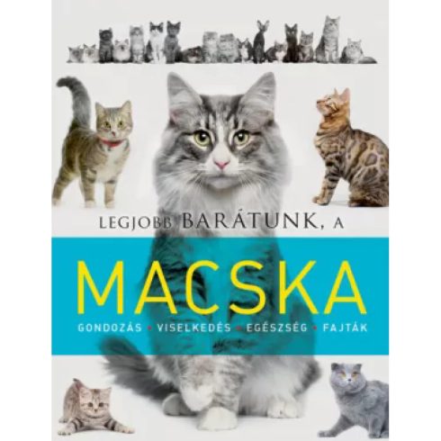 Laura Aceti - Viola Autieri - Legjobb barátunk a macska