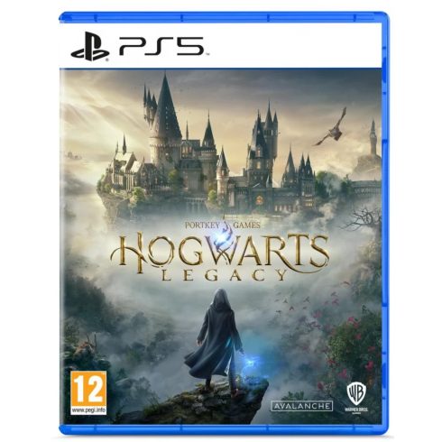 WARNER BROS Hogwarts Legacy (PS5)