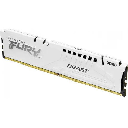 KINGSTON FURY 16GB Beast DDR5 5600MHz CL36 KF556C36BWE-16