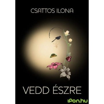 Csattos Ilona - Vedd észre