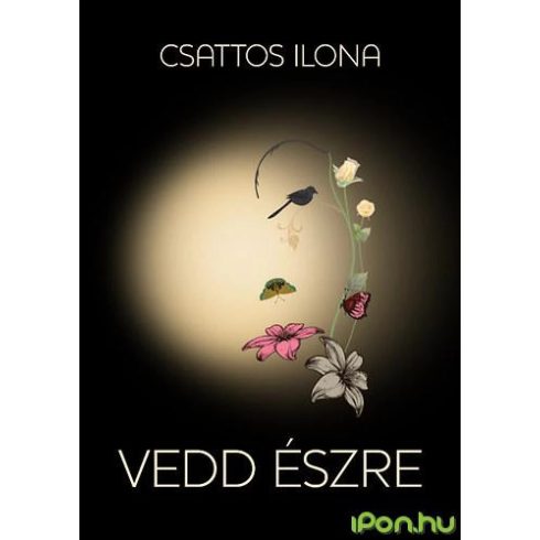 Csattos Ilona - Vedd észre