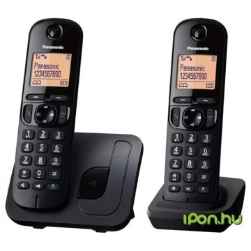 PANASONIC KX-TGC212PDB